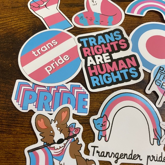 10Pc Trans Pride Sticker Set - Picture 2 of 3